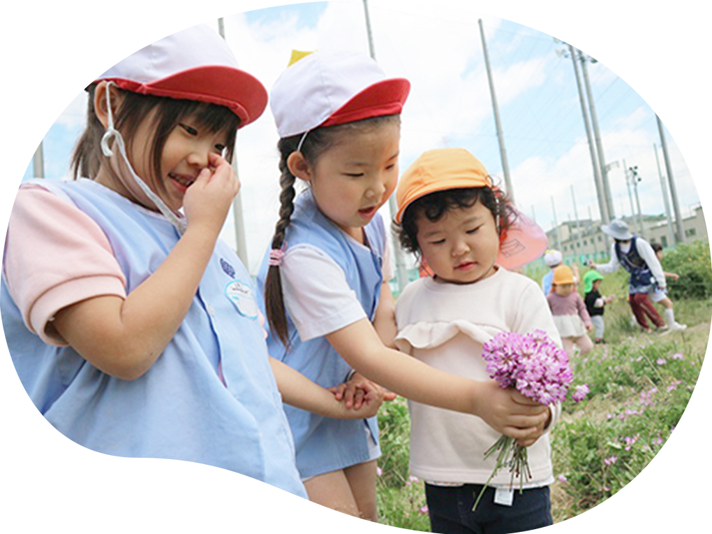 幼稚園の原っぱ