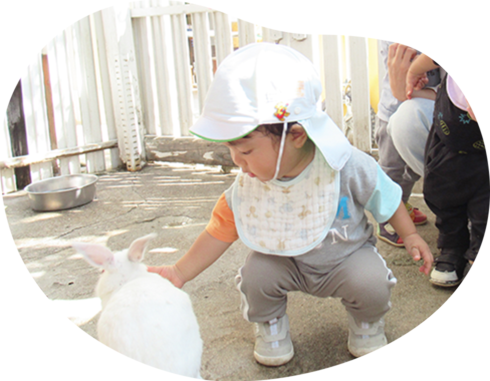 幼稚園の飼育小屋