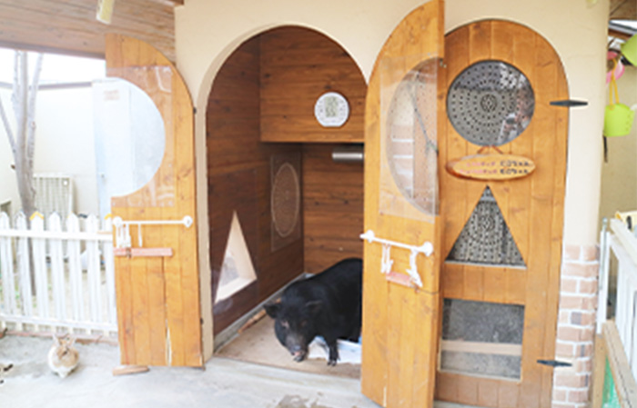 飼育小屋