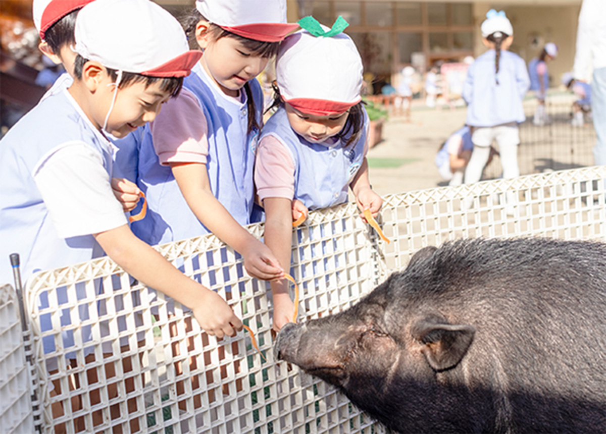 生き物と私たち 写真