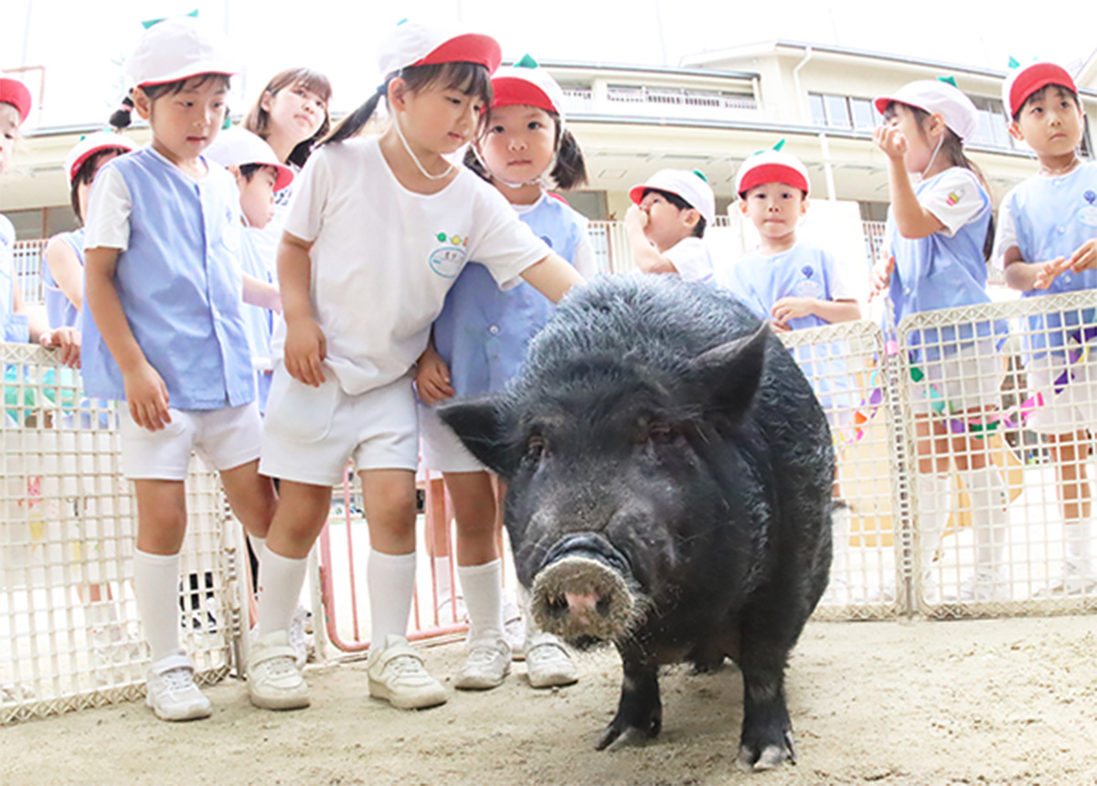 生き物と私たち 写真