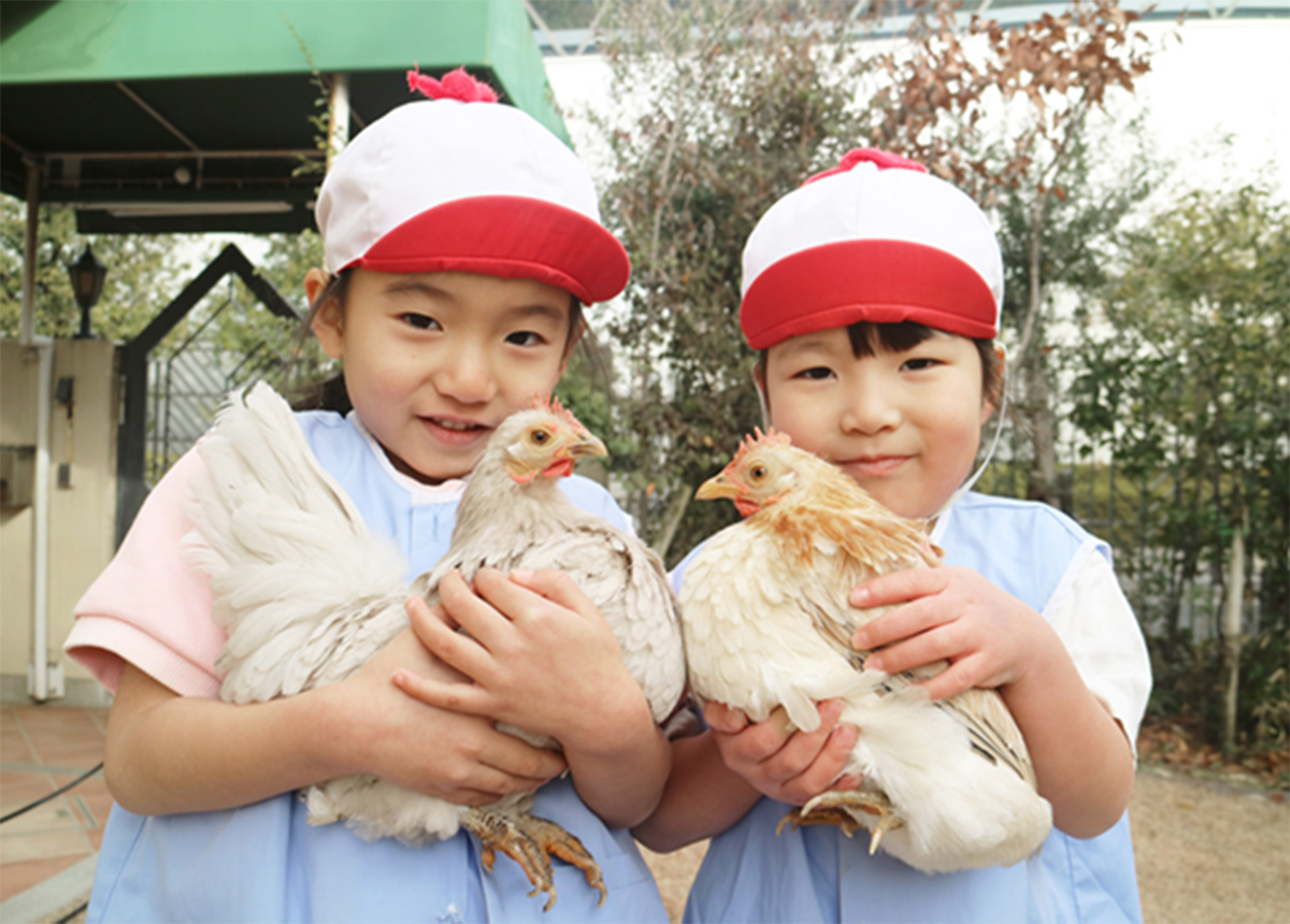生き物と私たち 写真