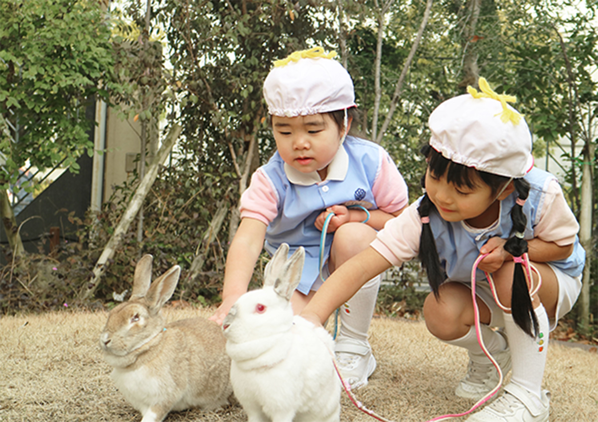 生き物と私たち 写真